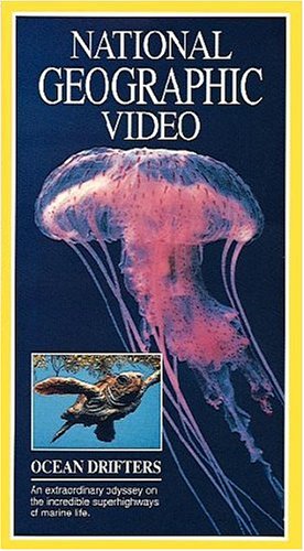 Preisvergleich Produktbild Jellies & Other Ocean Drifters [VHS]