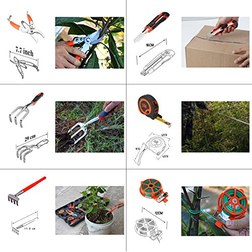 12Pcs Bonsaiwerkzeug set Pathonor Gartenarbeit Werkzeug Set Gartenschere, Spaten, Schaufel ideal für Profigärtner kleinere Arbeiten am Beet oder Balkon - 3