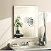 RUIMIO Makeup Mirror 7X Magnifying Lighted Makeup Mirror with Suction Base