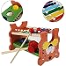 Arshiner Wooden Toys Pound And Tap,Tap Bench with Slide out Xylophone,Kids Wooden Educational Development Music Toy