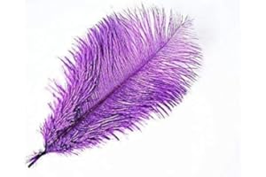 ATST 5 x 9-12" Purple Ostrich Feathers