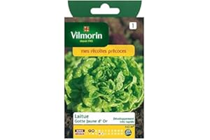 Vilmorin - Sachet graines Laitue Gotte jaune d'or