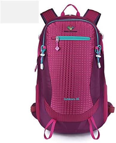Xuan - worth having Climbing Team Outdoor Leisure Fashion 30L Climbing Backpack Men And Women ( Color : Pink )