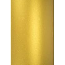 Netuno 50x goud glitterpapier zelfklevend DIN A4 210x297mm 150g Aster Glitter kleurrijk ambachtelijke voor DIY projecten decoratie kunst