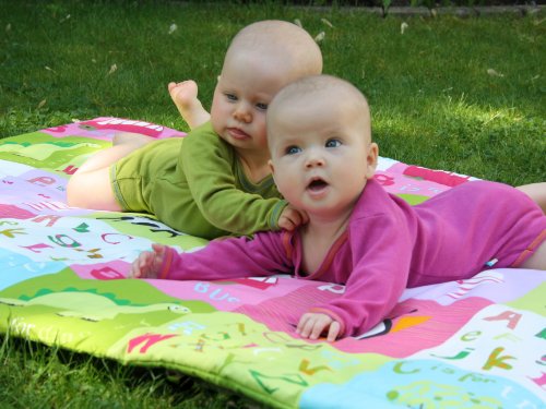 Imagen 5 de millemarille 40942 - Gimnasio