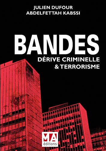 BANDES : DERIVE CRIMINELLE ET TERRORISME BANDES : DERIVE CRIMINELLE ET TERRORISME