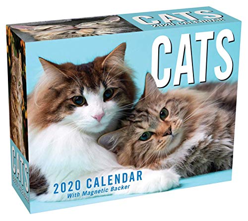 Télécharger Cats 2020 Calendar: With Magnetic Backer Livre PDF Gratuit