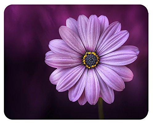 Mousepad Blume violett