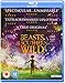 Beasts Of The Southern Wild [Blu-ray]