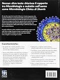 Image de Sherris microbiologia medica