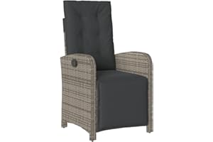 vidaXL Chaise Inclinable de Jardin et Repose-Pied, Sièges avec Coussin, Fauteuils avec Dossier Terrasse, Moderne, Gris Résine Tressée