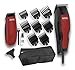 WAHL 1395-0466 Combi Pack Hair Trimmer + Precision Trimmer Home Pro 100