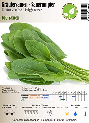 Semillas de hierbas - Acedera/Alazán - Rumex acetosa - Polygonaceae 100 semillas