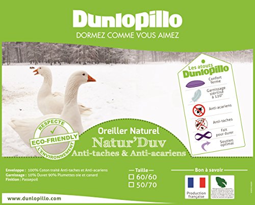 Dunlopillo OR1XAQN060060DPO Kopfkissen, 60 x 60 cm, Weiß - 3
