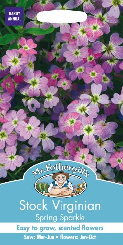 Mr Fothergill's 21312 Flower Seeds, Stock Virginian Spring Sparkle, Blue,Pink,Rose