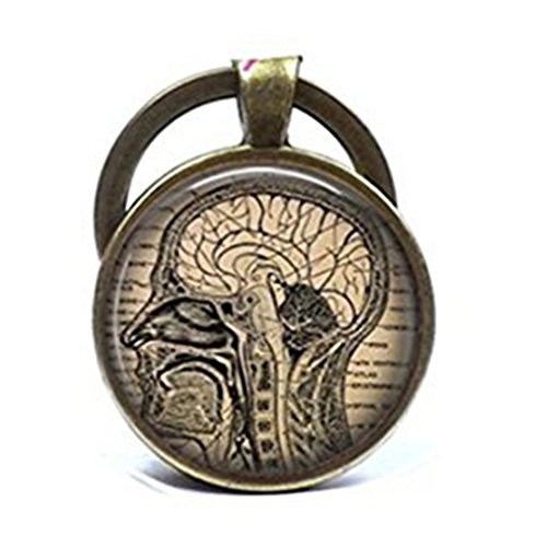 Llavero con diseño de anatomía de cerebro humano
