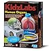 Produktbild 4M 68482 - KidzLabs, Human Organs