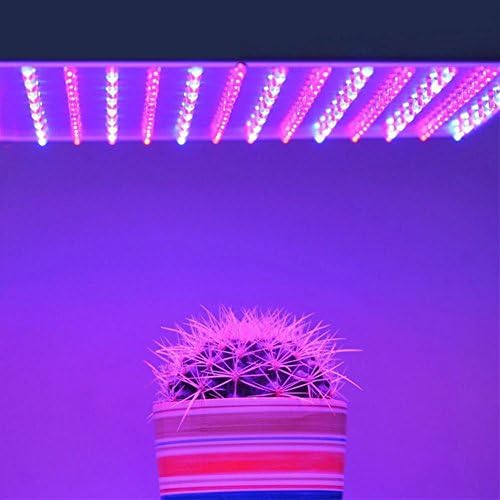 IAGM LED Grow Light 15W Farm Gardening plant growth supplement Light