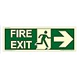 Emergency Fire Exit Vinyl Nulite 3016 JD PV Glow in The Dark