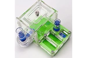 ANT GRAPE dural water towel Ant Workshop Acrylic Nest Ants Farm House Activity Area Pocket Mini New Ant Nest (GREEN)