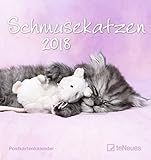 Schmusekatzen 2018 - Postkartenkalender, Tierkalender, Katzenkalender - 16 x 17 cm by 