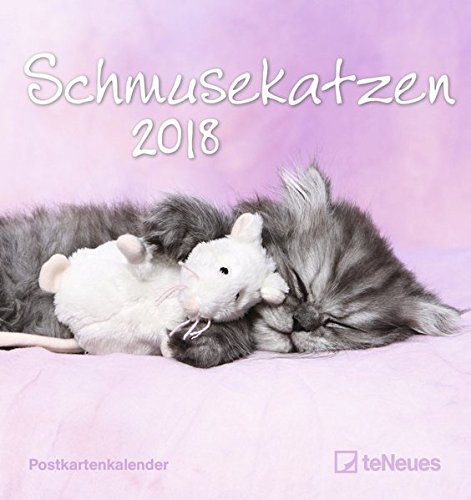 Schmusekatzen 2018 - Postkartenkalender, Tierkalender, Katzenkalender - 16 x 17 cm