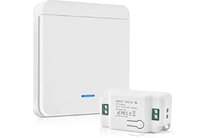 HOME HOLIC Interruptor De Luz Por Radio 10A 230V Juego De Interruptores De Luz Por Radio 200-2000w Pulsador Inalámbrico De Fácil Instalación (1 Receptor + 1 Interruptor)