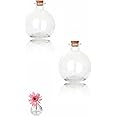 Decorative Glass Bottles with Cork Stoppers - 250 ml Potion Bottles (2 Pcs) Ideal for filling with shells, tiny stones, or your favorite ingredients like Vanilla Extract, Lotions, and Bath Salts