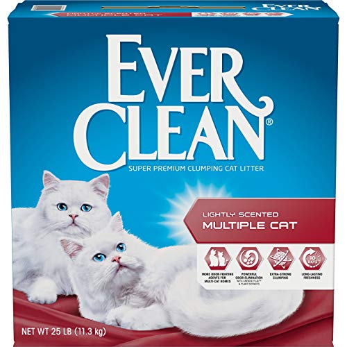 Ever Clean Cat Litter, 25 Libras