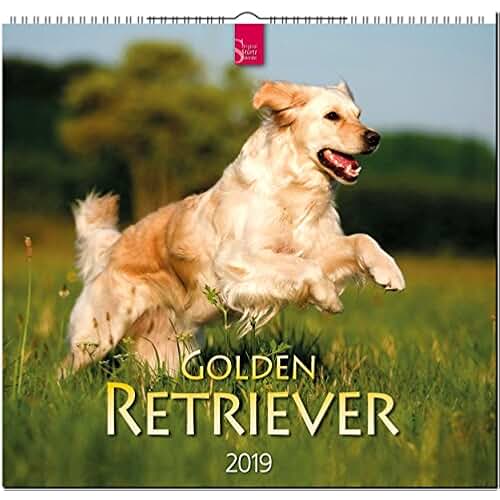 Amazon.co.uk Golden retriever Books
