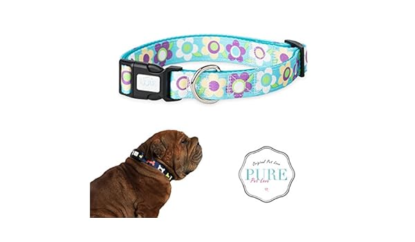 medium dog collar size in cm
