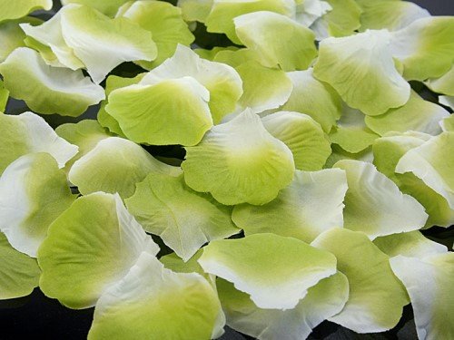 100 Stück Rosenblätter, zweifarbig apfelgrün, Streublumen Streublätter für Blumenkinder Tischdeko
