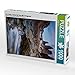 Produktbild Las Torres, Torres del Paine NP, Patagonien 1000 Teile Puzzle hoch (CALVENDO Natur)