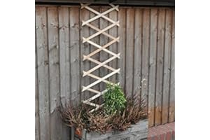 garden mile® 1ft 2ft 3ft Wooden Expandable Garden Trellis Outdoor Expanding Flexible Robust Climbing Plant & Vegetable Support Natural Wood Garden Lattice (6ft x 1ft)
