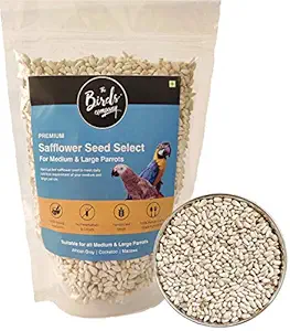The Birds Company Premium Safflower Seed (Kusum Dana) Select, Fortified with Spirulina, Bird Food for Conures, Lovebirds, Cockatiels, African Grey, Macaws, Cockatoo, 450 g