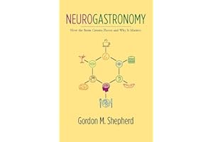 Neurogastronomy: How the Brain Creates Flavor and Why It Matters