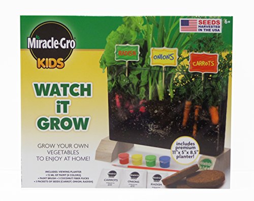 Preisvergleich Produktbild Miracle Gro Kids Watch It Grow Garden Kit by Miracle Gro Kids