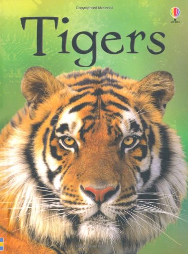 Book's Cover of Tigers