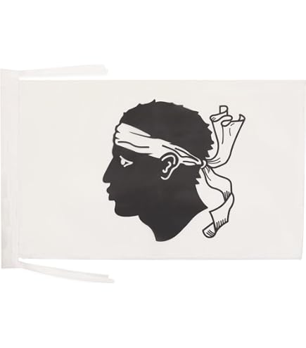 Bandiera AS Saint-Étienne - Polyester 100%, Dimensioni 90x150 Cm O 60x90 Cm