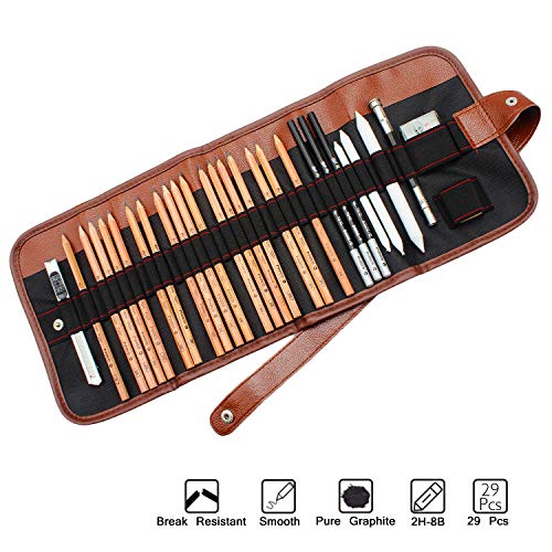 AOOKEY Set di Matite Disegno, Set Disegno Artistico Grafite di Carbonio Matite per Principianti/Artisti