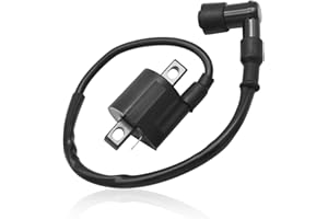 ‎WAI DANIE Wai Danie Zündspule Stecker Kompatibel mit Yamaha DT50 RX50 PW50 PY50 CG125 RM125 YZ80 PW80 BW80 BW200 TR110 TTR90 TTR230 TT225 ATV Scooter Motorrad Quad Dirt Bike