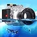 Produktbild PULUZ 40m Underwater Depth Diving Case Waterproof Camera Housing for Sony RX100 III