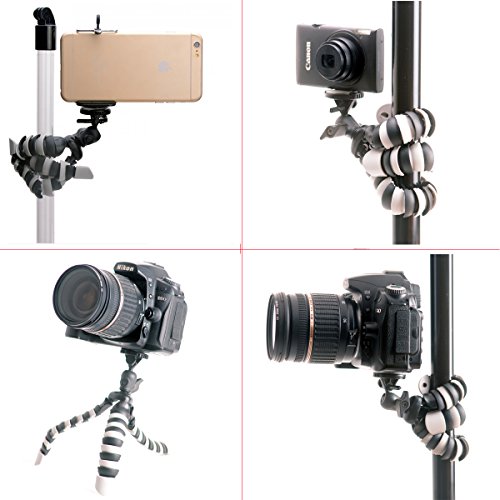 Octopus Tr  pied Parent Child Variation