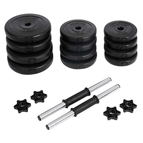 Songmics 2er Set Hanteln Kurzhanteln Hantelscheiben 20 kg, 30 kg, 40 kg - 2
