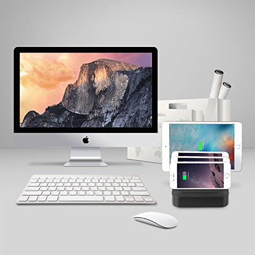 NexGadget Hub USB, Stazione di Ricarica 4 Porte, Organizzatore di dispositivi, Caricabatterie Portatile da Tavolo USB Caricatore per Smartphone e Tablet