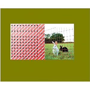 Göbel Weidezaun Elektrozaun Euro Netz Ernteschutz Jumbo 50m lang 65cm hoch 15 Pfähle Doppelspitze