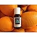 Produktbild Alles Bain – ätherisches Öl Hat der Orange