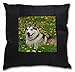 Produktbild Advanta ad-am3-csb Alaskan Malamute Hund schwarz Bordüre Satin Feel Kissenhülle mit Kissen einfügen, Polyester, mehrfarbig, 36 x 36 x 12 cm