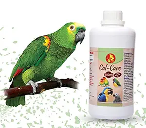 Pet Care International (PCI) Cal Care || Essential Calcium to Healthy Bird Healthcare || 500ml