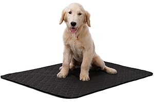 BT Bear Wasserdichte Hundedecke, waschbar, rutschfest, waschbar, wiederverwendbar, super saugfähig, schnell trocknend, für Sofa, Auto, Käfig, Gras, Bett (Medium - 67 x 50 cm)